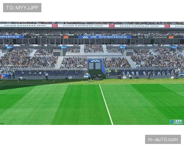 深度调查：马赛韦洛德罗姆球场改造计划因环保评估再次延期